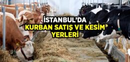 2016 İstanbul’da Kurban Satış ve Kesim Yerleri