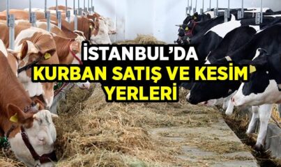 2016 İstanbul'da Kurban Satış ve Kesim Yerleri