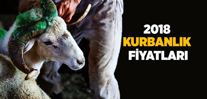 2018 Kurbanlık Fiyatları