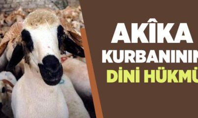 Akîka Kurbanının Dini Hükmü Nedir?