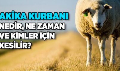 Akika Kurbanı Nedir, Ne Zaman ve Kimler İçin Kesilir?