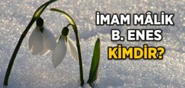 İmam Malik Kimdir?