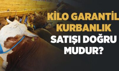 Kilo Garantili Kurbanlık Satışı Doğru mudur?