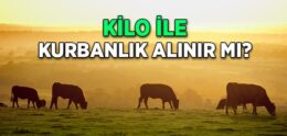 Kilo İle Kurbanlık Alınır mı?