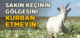 Kurban’da İhlâs ve Takva’nın Önemi