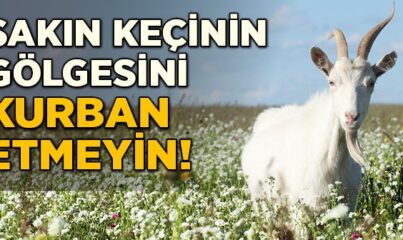 Kurban'da İhlâs ve Takva'nın Önemi