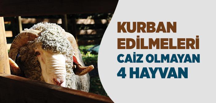 Kurban Edilmeleri Caiz Olmayan Dört Hayvan