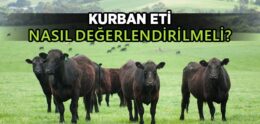 Kurban Eti Nasıl Değerlendirilmeli?