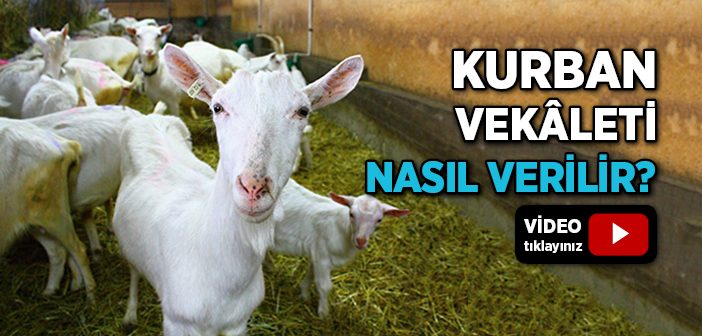 Kurban İçin Vekalet Nasıl Verilir?