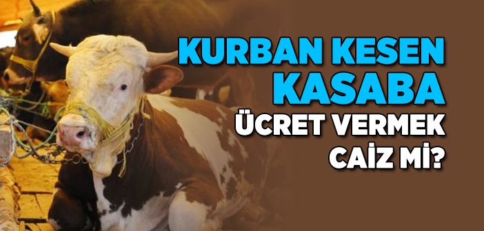 Kurban Kesen Kasaba Ücret Vermek Caiz mi?