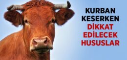 Kurban Keserken Dikkat Edilecek Hususlar