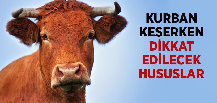 Kurban Keserken Dikkat Edilecek Hususlar