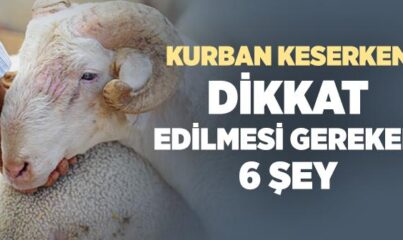 Kurban Keserken Dikkat Edilmesi Gerekenler