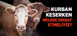 Kurban Keserken Nelere Dikkat Etmeliyiz?