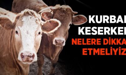 Kurban Keserken Nelere Dikkat Etmeliyiz?