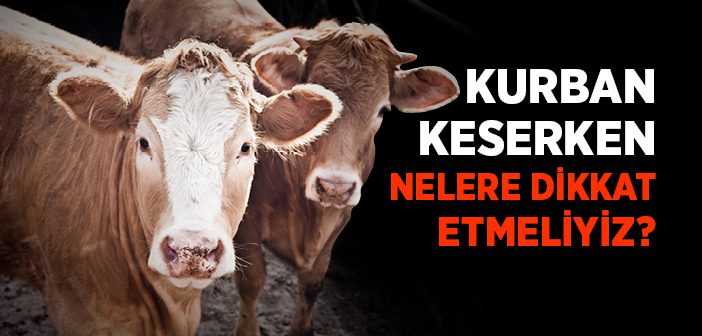 Kurban Keserken Nelere Dikkat Etmeliyiz?