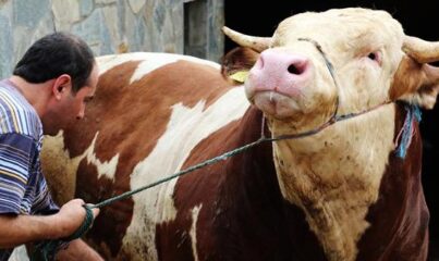 Kurban Kesmekle Yükümlü Olmanın Şartları