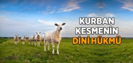 Kurban Kesmenin Dini Hükmü Nedir?