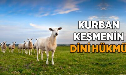 Kurban Kesmenin Dini Hükmü Nedir?