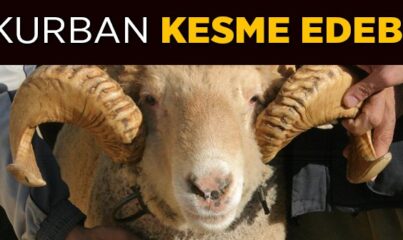 Kurban Kesmenin Edebi Nedir?