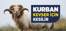 Kurban Kevser İçin Kesilir