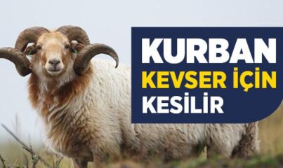 Kurban Kevser İçin Kesilir