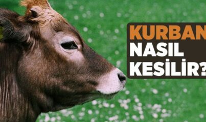 Kurban Nasıl Kesilir?