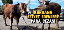 Kurbana Eziyet Edenlere Para Cezası