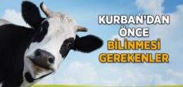 Kurbandan Önce Bilinmesi Gerekenler