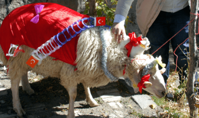 Kurbanın Dinî Hükmü Nedir?