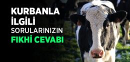 Kurbanla İlgili Güncel Fıkhi Sorular