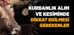 Kurbanlık Alım ve Kesiminde Dikkat Edilmesi Gerekenler