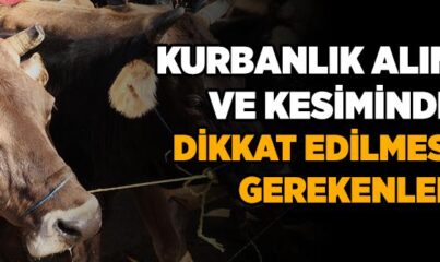 Kurbanlık Alım ve Kesiminde Dikkat Edilmesi Gerekenler