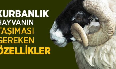 Kurbanlık Hayvanın Taşıması Gereken Özellikler