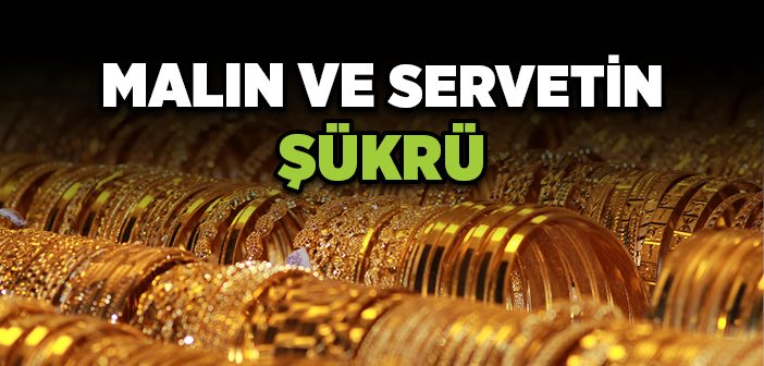 Malın ve Servetin Şükrü