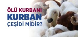 Ölü Kurbanı, Kurban Çeşidi midir?