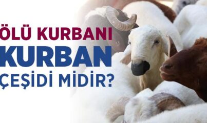 Ölü Kurbanı, Kurban Çeşidi midir?