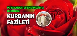 Peygamber Efendimiz’in Dilinden Kurbanın Fazileti