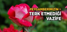 Peygamber Efendimiz’in Terk Etmediği Vazife