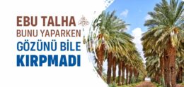 Sahabi Ebu Talha’nın İnfak Sevgisi