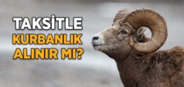 Taksitle Kurbanlık Alınır mı?