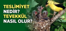 Teslimiyet Nedir, Nasıl Olmalıdır?