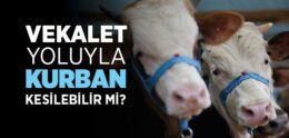 Vekalet Yoluyla Kurban Kesilebilir mi?