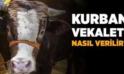 Vekalet Yoluyla Kurban Nasıl Verilir?