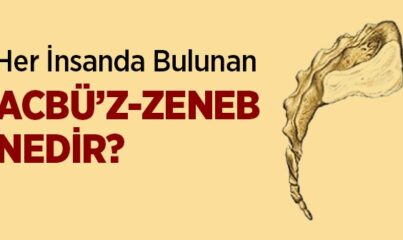 Acbü'z-zeneb Nedir?