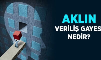 Akıl İnsana Niçin Verilmiştir?