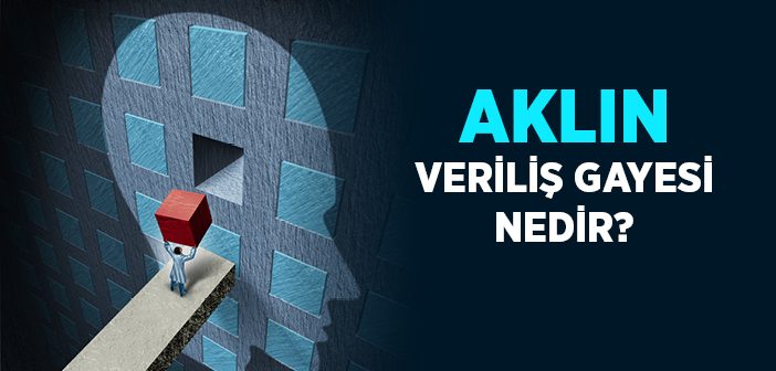 Akıl İnsana Niçin Verilmiştir?