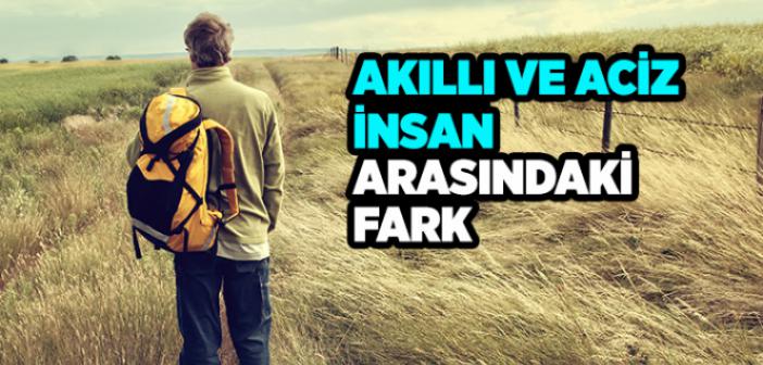 Akıllı ve Aciz İnsan Arasındaki Fark