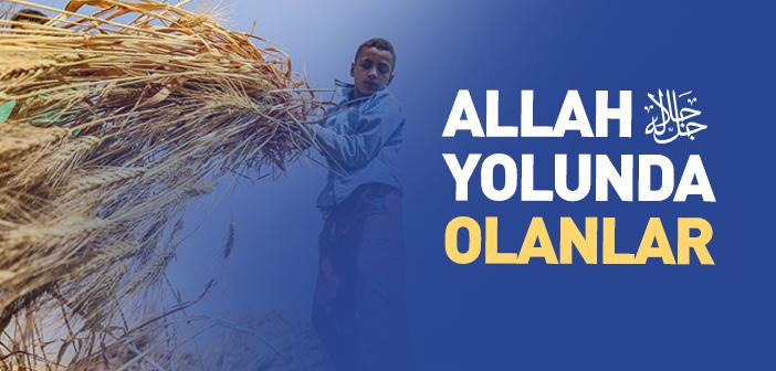 Allah Yolunda Olanlar Kimlerdir?