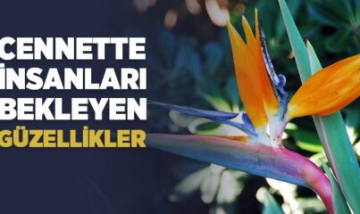 Cennet’in Güzellikleri